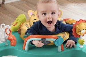 Activity Centers for Babies